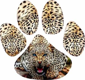 Elementary Leopard