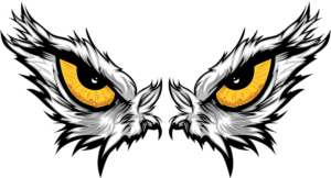 Cartoon Vector Mascot Image of an Eagle Eyes