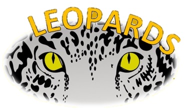 Leopard Yellow Eyes White